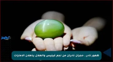 ظهور نادر.. حجران نادران من نجم غينيس والهلال يذهلان الإمارات